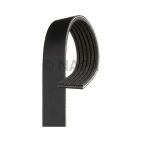 Serpentine Belt