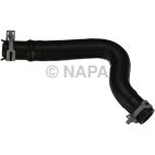 Radiator Coolant Hose