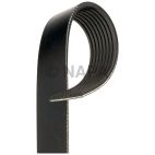 Accessory Drive Belt
