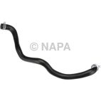 Radiator Coolant Hose