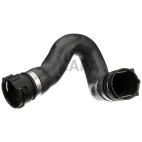 Radiator Coolant Hose