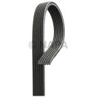 Serpentine Belt