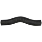 Radiator Coolant Hose