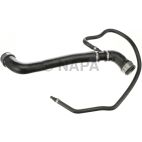 Radiator Coolant Hose