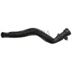Radiator Coolant Hose