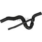 Radiator Coolant Hose