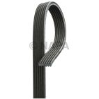 Serpentine Belt