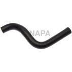 Radiator Coolant Hose