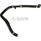 Radiator Coolant Hose