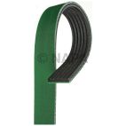 Serpentine Belt