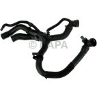 Radiator Coolant Hose