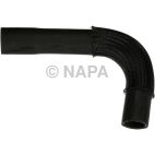 Radiator Coolant Hose