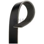 Serpentine Belt