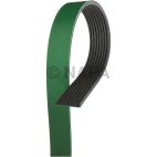 Accessory Drive Belt
