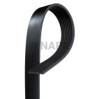 Serpentine Belt