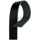 Accessory Drive Belt