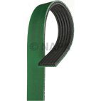 Serpentine Belt
