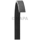Serpentine Belt