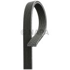 Serpentine Belt