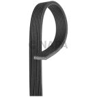 Serpentine Belt