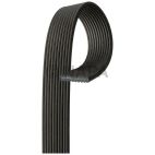 Accessory Drive Belt