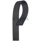 Accessory Drive Belt