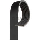 Serpentine Belt