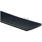 Accessory Drive Belt