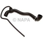 Radiator Coolant Hose