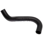 Radiator Coolant Hose