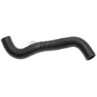 Radiator Coolant Hose