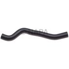 Radiator Coolant Hose