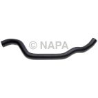 Radiator Coolant Hose