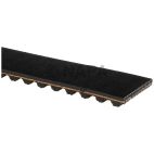 Engine Timing Belt
