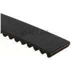 Engine Timing Belt