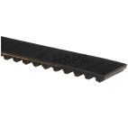 Engine Timing Belt