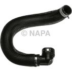 Radiator Coolant Hose