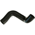 Radiator Coolant Hose