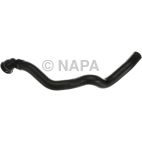 Radiator Coolant Hose
