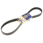 Accessory Drive Belt