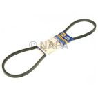 Accessory Drive Belt