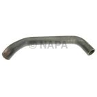 Radiator Coolant Hose