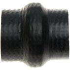 Radiator Coolant Hose