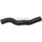Radiator Coolant Hose