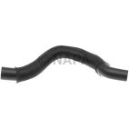 Radiator Coolant Hose