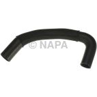 Radiator Coolant Hose