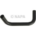 Radiator Coolant Hose