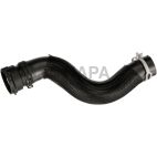 Radiator Coolant Hose