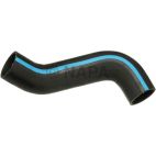 Radiator Coolant Hose