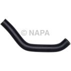 Radiator Coolant Hose